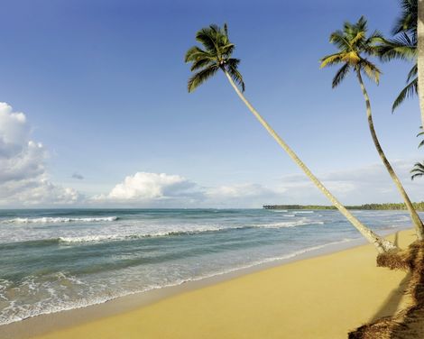 Viva V Samana by Wyndham, A Trademark Adults All Inclusive-1