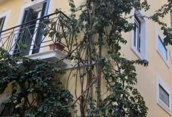Hotel, Casa Verde