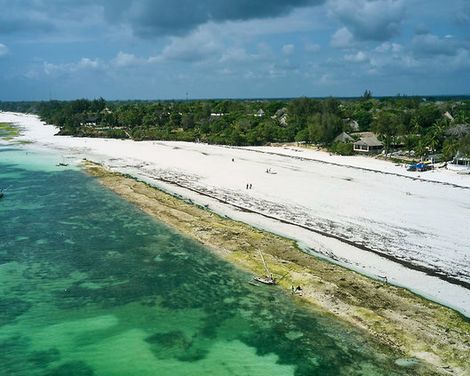 Papillon Lagoon Reef-0