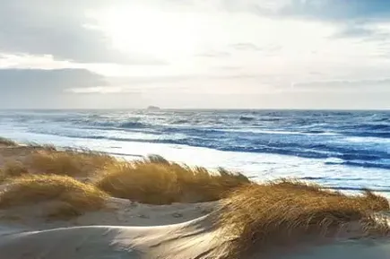 Düne Nordsee