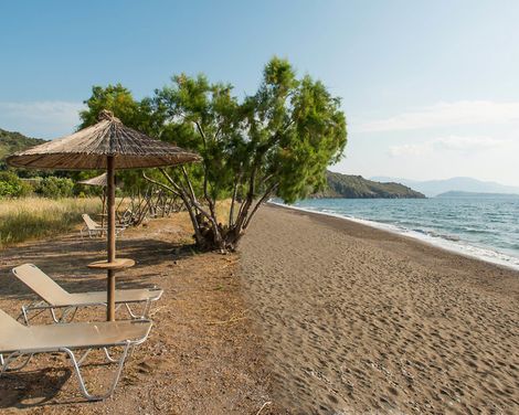 Delfinia Hotel & Bungalows-0