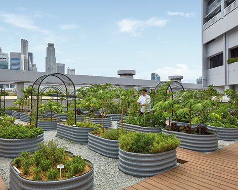 PARKROYAL COLLECTION Marina Bay, Singapore-2