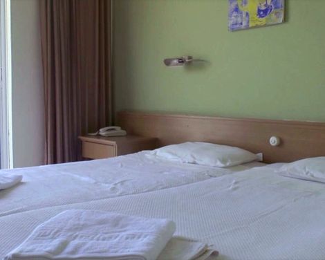 Aristea-3