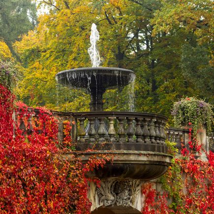 Park Schloss Sanssouci