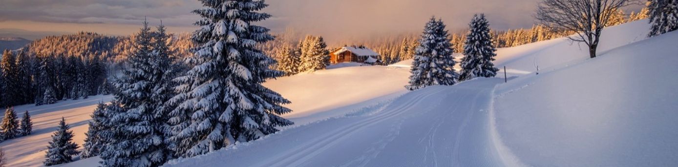 Schwarzwald im Winter