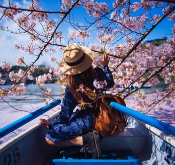 Frau im Ruderboot unter Kirschblüten zur Hanami-Zeit – Eine Reisende erlebt das Hanami-Fest hautnah bei einer Bootsfahrt durch ein rosa Blütenmeer.
