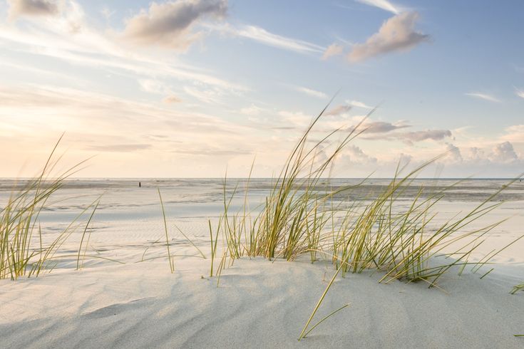 Ein Sandstrand mit Gras und einem Sonnenuntergang.