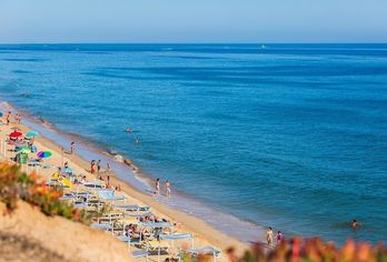 Hotel, The Patio Suite Hotel