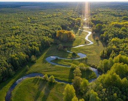 Wald in Sommerfarben. Grüne Laubbäume und gewundener blauer Fluss im Sonnenuntergang. Mulgi-Wiese, Estland, Europa