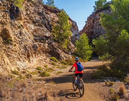 Eine Frau fährt Mountainbike auf einem felsigen Pfad.