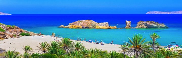 Ein Palmenstrand mit türkisfarbenem Wasser.