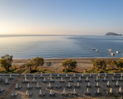 Domes Aulus Zante Autograph Collection-3