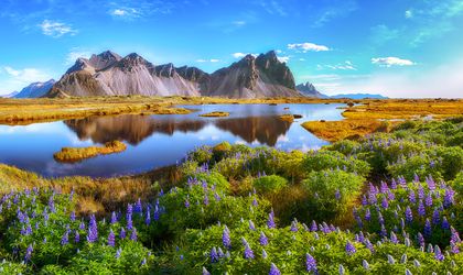 Sonniger Tag in Island. Man schaut auf einen Berg, davor eine schön bewachsene Naturlandschaft