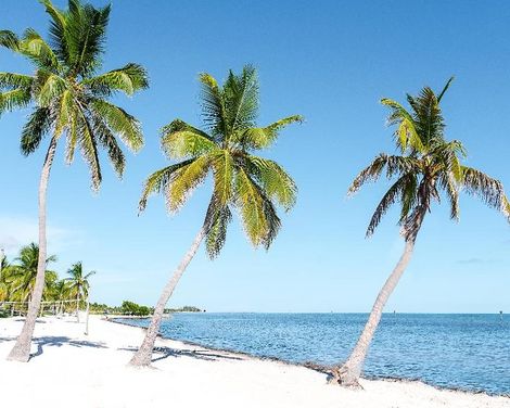 Parrot Key Hotel & Villas-2