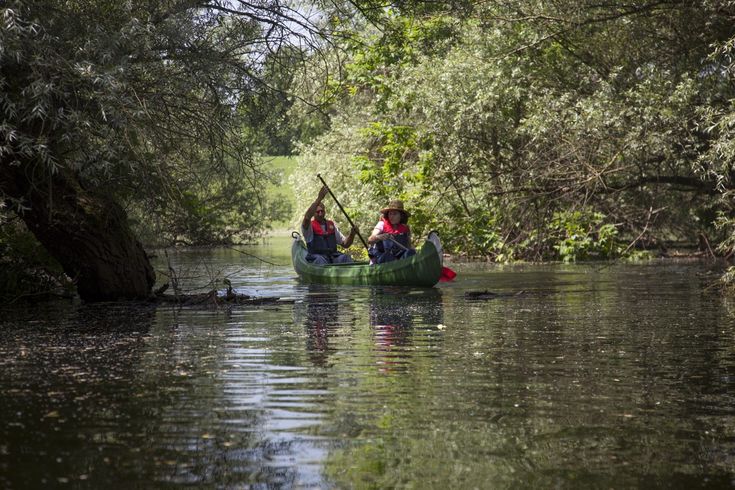 Ein See oder Fluss, umgeben von Bäumen und einem Boot.