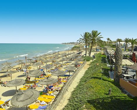 Vincci Safira Palms-0