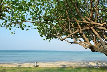 Kacha Resort & Spa