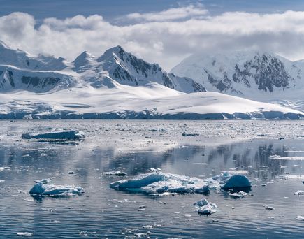 Eisberge im Hintergrund, im Vordergrund schwimmende Eisschollen