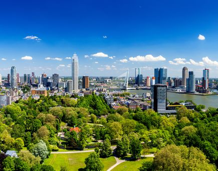 Blick über Rotterdam. Grüne Parkanlage, im Hintergrund der Hafen und Häuser.