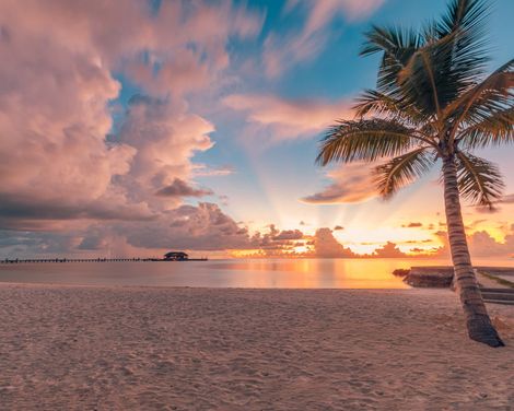 TUI BLUE Olhuveli Romance-1