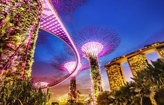 Gardens by the Way 