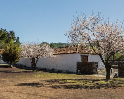 La Casona del Patio Hotel-2