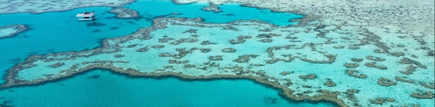  Ein beeindruckender Vogelperspektiven-Blick auf das Great Barrier Reef zeigt die leuchtend türkisfarbenen und hellblauen Wasserbecken, die von komplexen Korallenformationen umgeben sind.