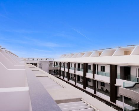 Coral Cotillo Reef-4