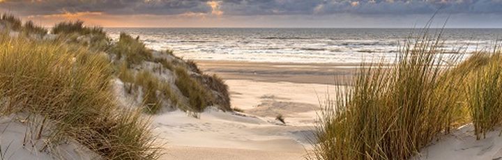 Ein Sandstrand mit Dünen und Gras.