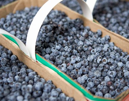 Frische Beeren auf dem Farmer’s Market