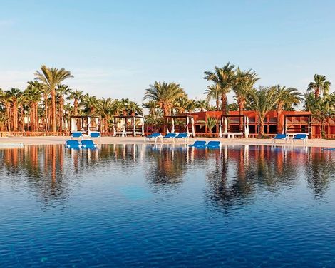 Calimera Blend Paradise-0