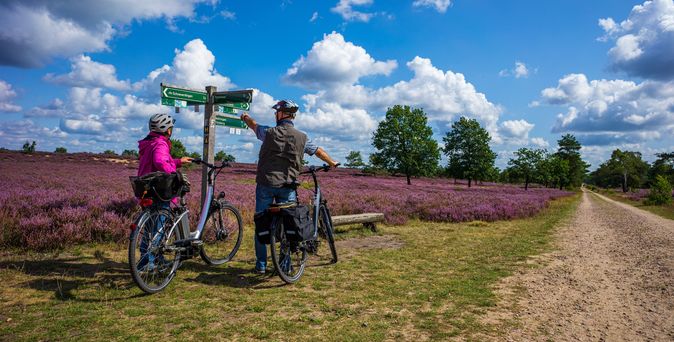 Zwei Radfahrer stehen auf einem Weg in der blühenden Lüneburger Heide und schauen auf Wegweiser.