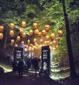 Leuchtende Lampions in den Bäumen beim Foresta Lumina