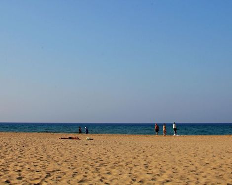 Vardis Olive Garden-0