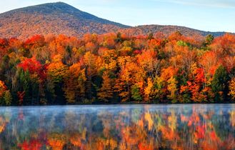 Goldener Herbst