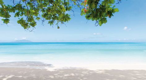 Story Seychelles