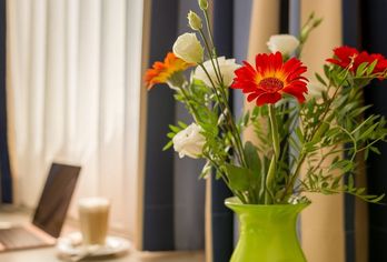 Hotel Novalis Dresden