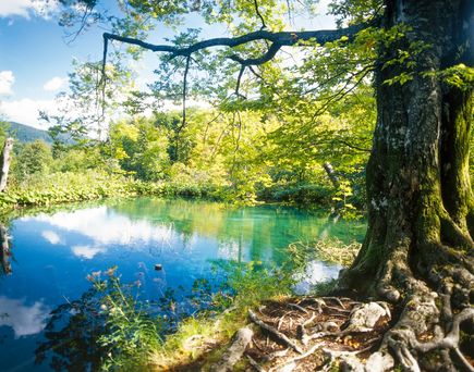 Kroatien Nationalparks Urlaub Plitvicer Seen Nationalpark