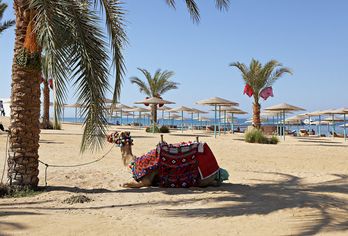 Hotel, Three Corners Sunny Beach Resort