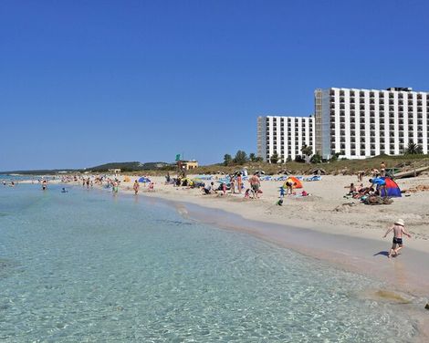 Sol Milanos Pingüinos-1