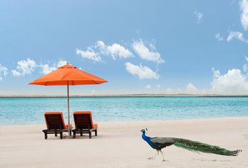 Hotel, JA Beach Hotel