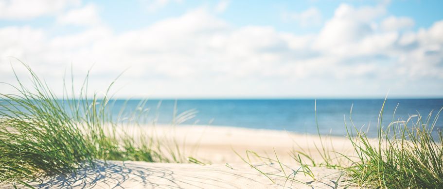 Ferienhaus Urlaub Dänemark Sandstrand