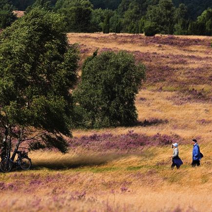 Lueneburger Heide