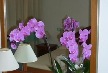 Hotel, Hotel Le Anfore