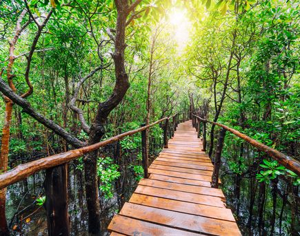 Landschaft auf Sansibar