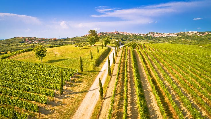 Istrisches Hinterland_Buje-Blick über sattgrüne Felder