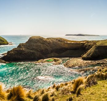 Wunderschöne Bucht Tasmaniens