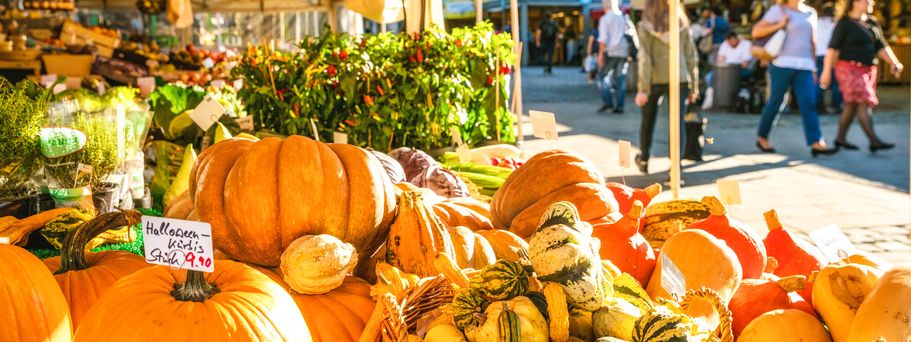 Städtereise München Urlaub Kürbisse an Marktstand