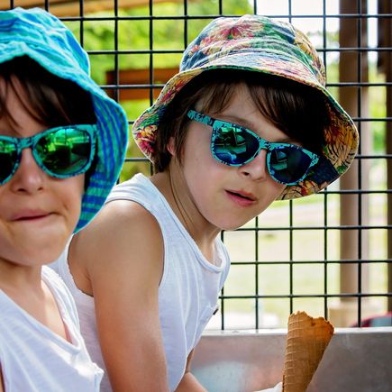 Kinder Eis Safarifahrzeug