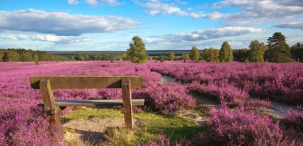 Ferienwohnungen Lüneburger Heide